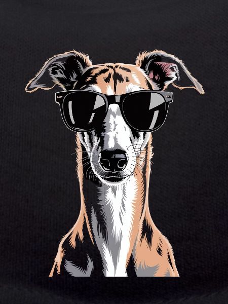 Greyhound Windhund
