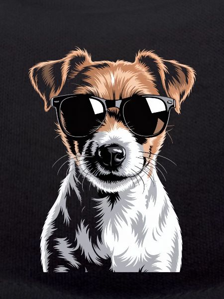 Jack Russell Terrier