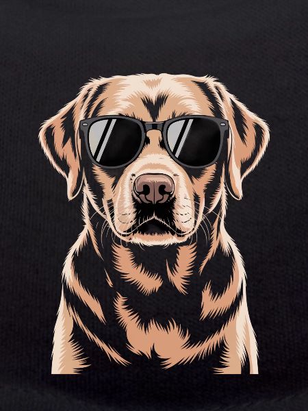 Brown Labrador