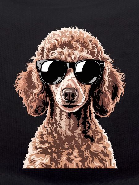 Brown Poodle