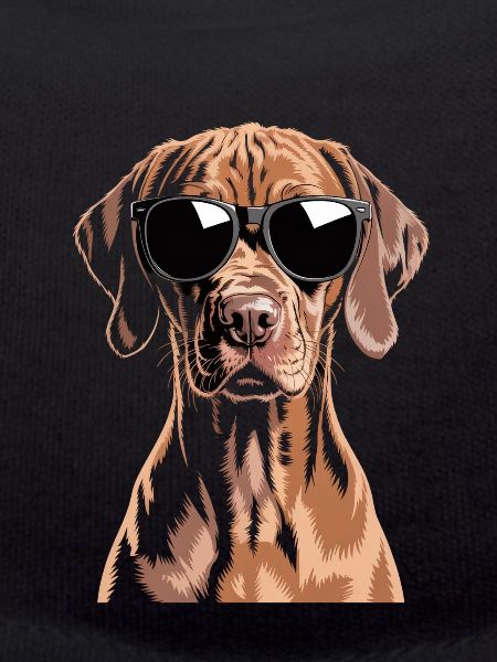 Vizsla