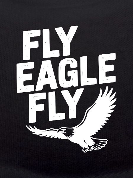 Fly Eagle Fly