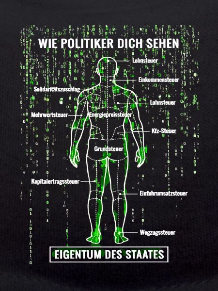 Systemfehler Steuerzahler - Matrix Zerlegeplan 
