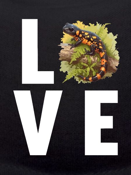 Fire Salamander Salamander