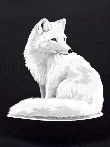 Schneeweißer Fuchs Illustration