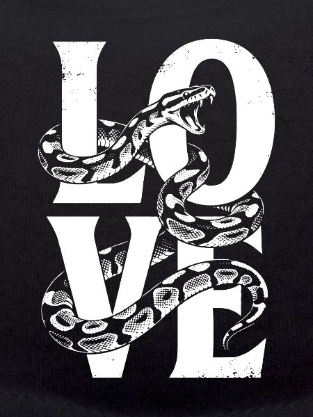 Königspython Schlangen LOVE Terrarium Python