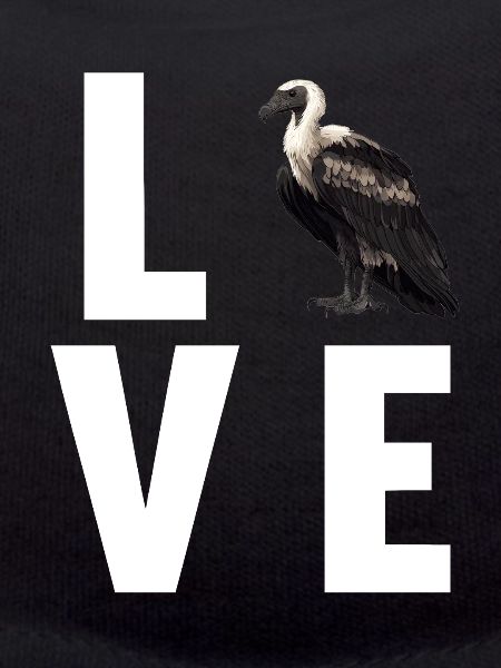 Vulture
