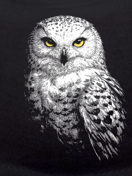 Snowy owl