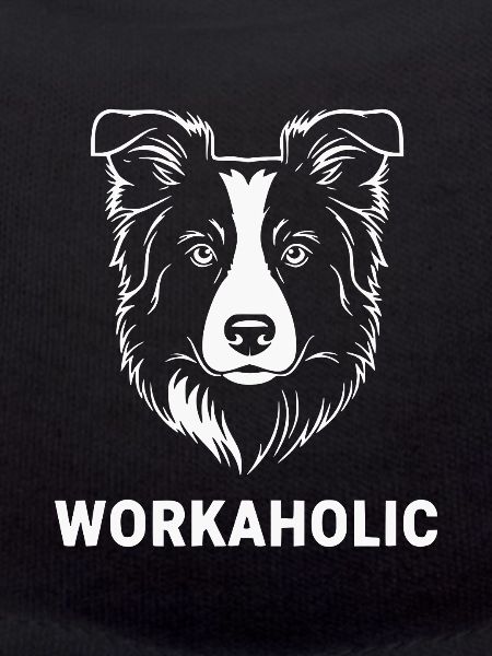 Workaholic Border Collie