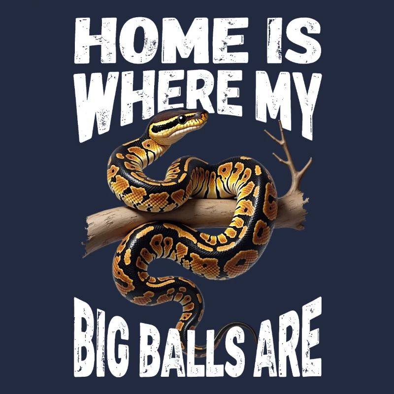 Python roi Serpents Amateurs de terrarium Python