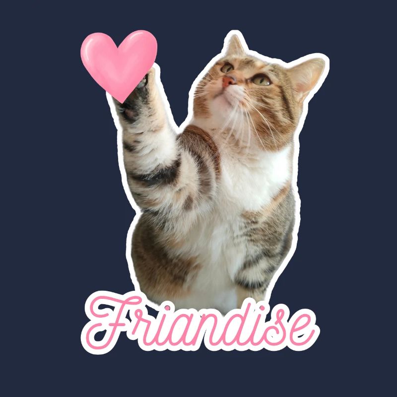 Missty check friandise
