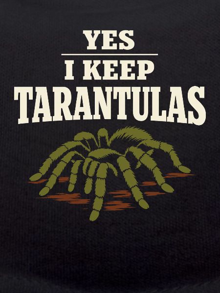Tarantula Tarantula Holder Spider Owner