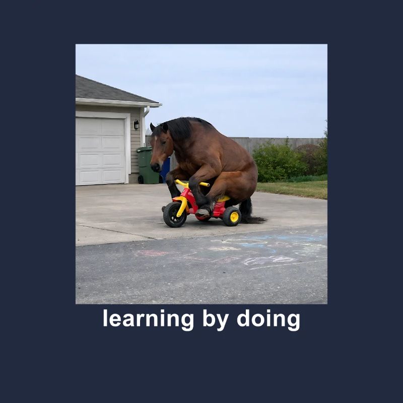 Learning By Doing Horse Meme Funny Humor
