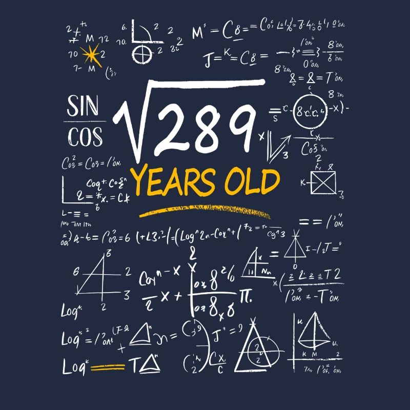 17 Years Birthday Math Formulas Funny