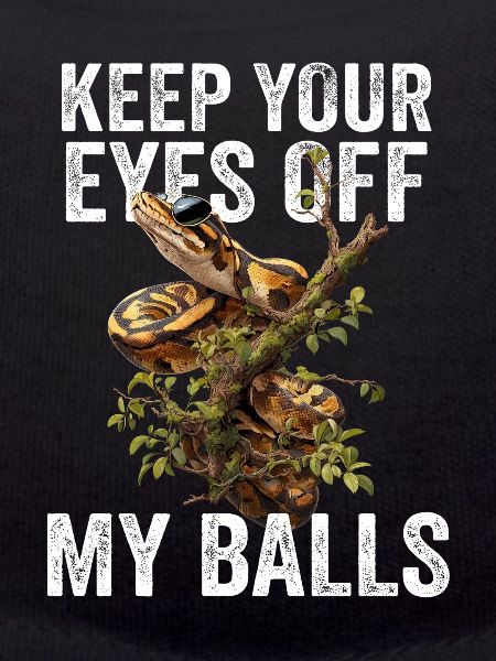 Königspython Schlangen Liebhaber Terrarium Python