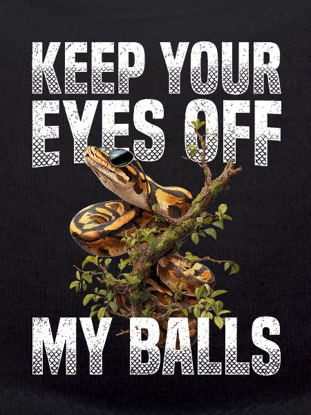 Königspython Schlangen Liebhaber Terrarium Python