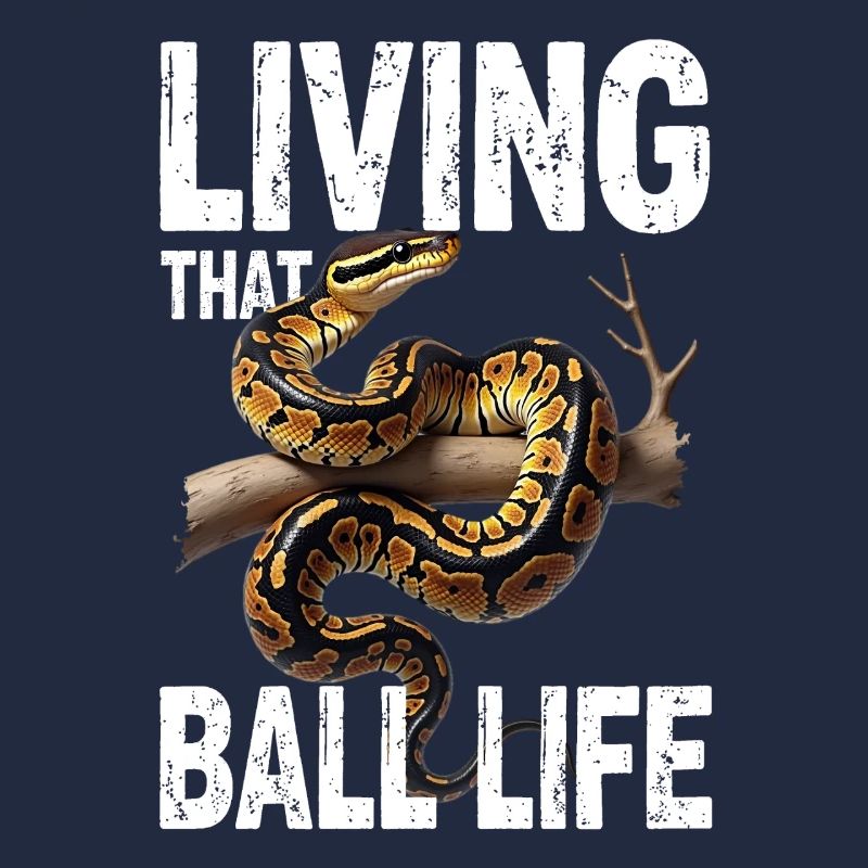 Königspython Schlangen Liebhaber Terrarium Python