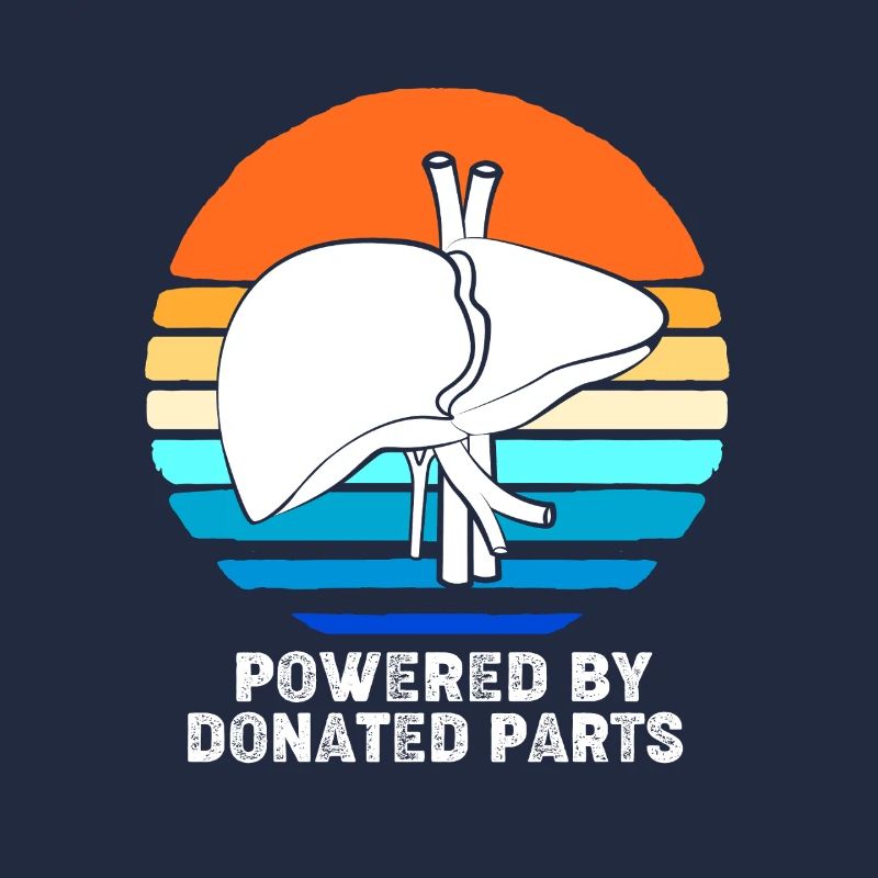 Organ Spender Leber Organspender Leberspende
