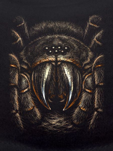 Tarantula