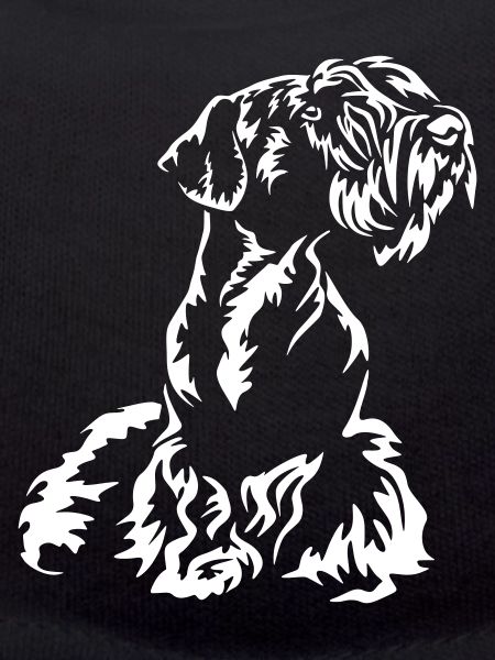 Cesky Terrier "Black Edition"