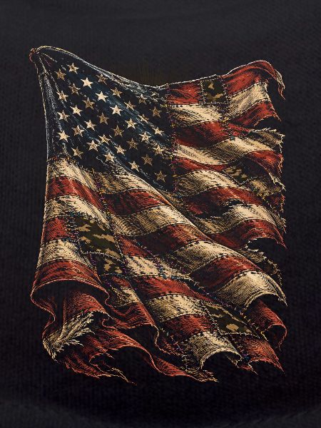 Veterans Day for Democrats