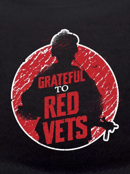Veterans Day for Republicans