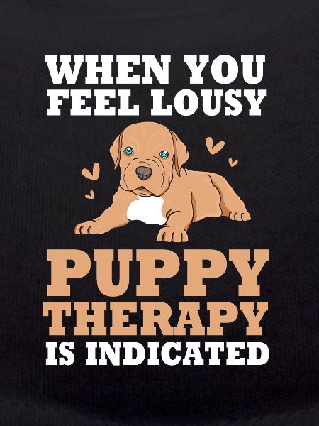 Therapiehund