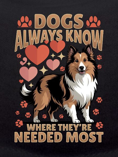 Shetland Sheepdog Sheltie Dog Breed