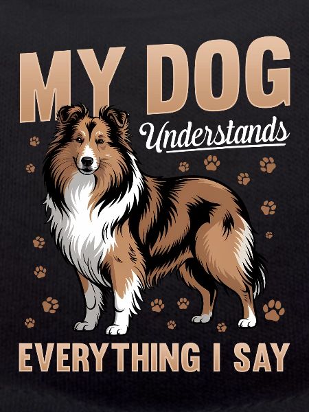 Shetland Sheepdog Sheltie Dog Breed