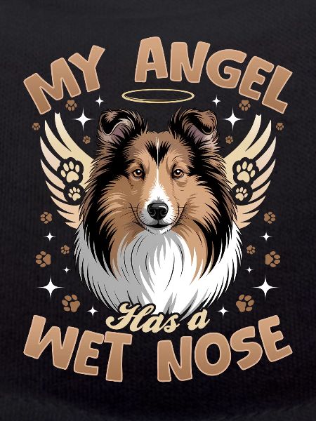 Shetland Sheepdog Sheltie Dog Breed