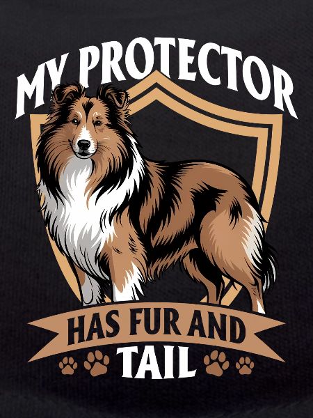 Shetland Sheepdog Sheltie Dog Breed