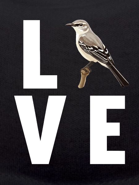 Oiseaux moqueurs Oiseaux moqueurs
