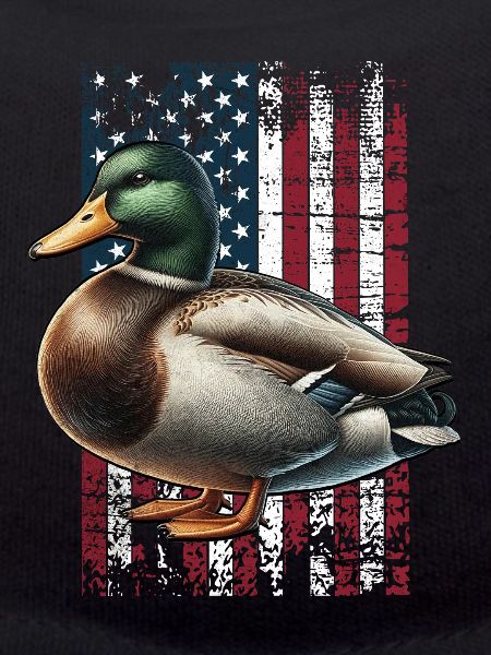 Canard colvert US Stockente