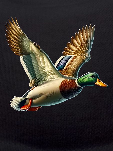 Stockente Mallard Duck