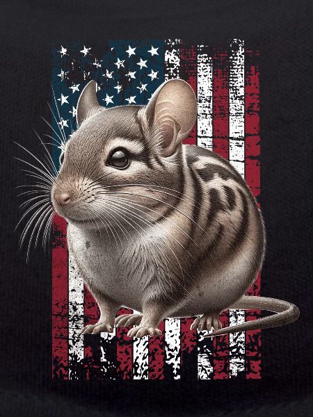Degu US Degu
