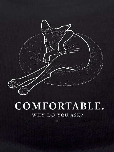 Sphynx Cat – Comfortable