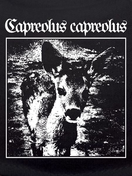 Capreolus capreolus