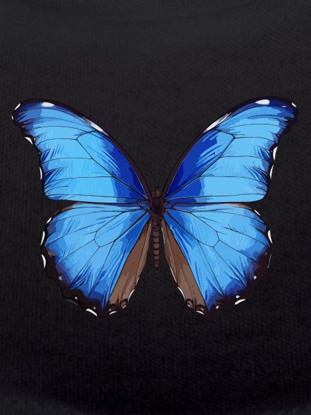Blue Morpho Butterfly