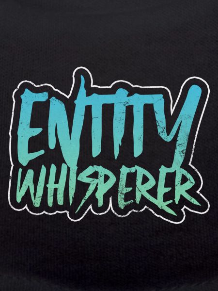 Entity whisperer Paranormal
