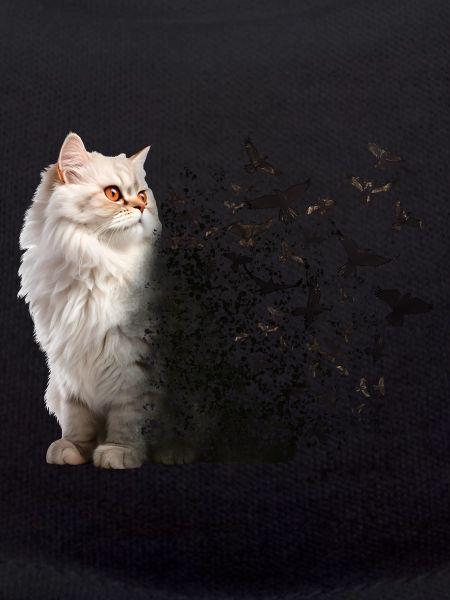 Chat persan