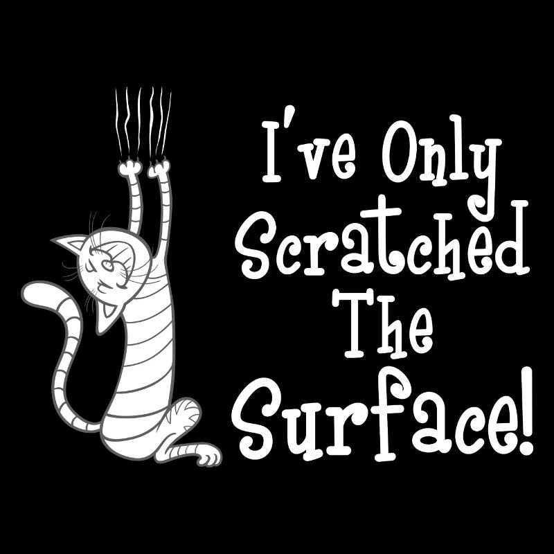 Chat je n’ai rayé la surface