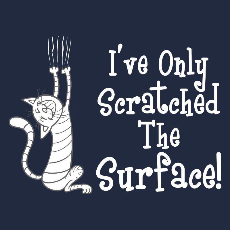 Chat je n’ai rayé la surface
