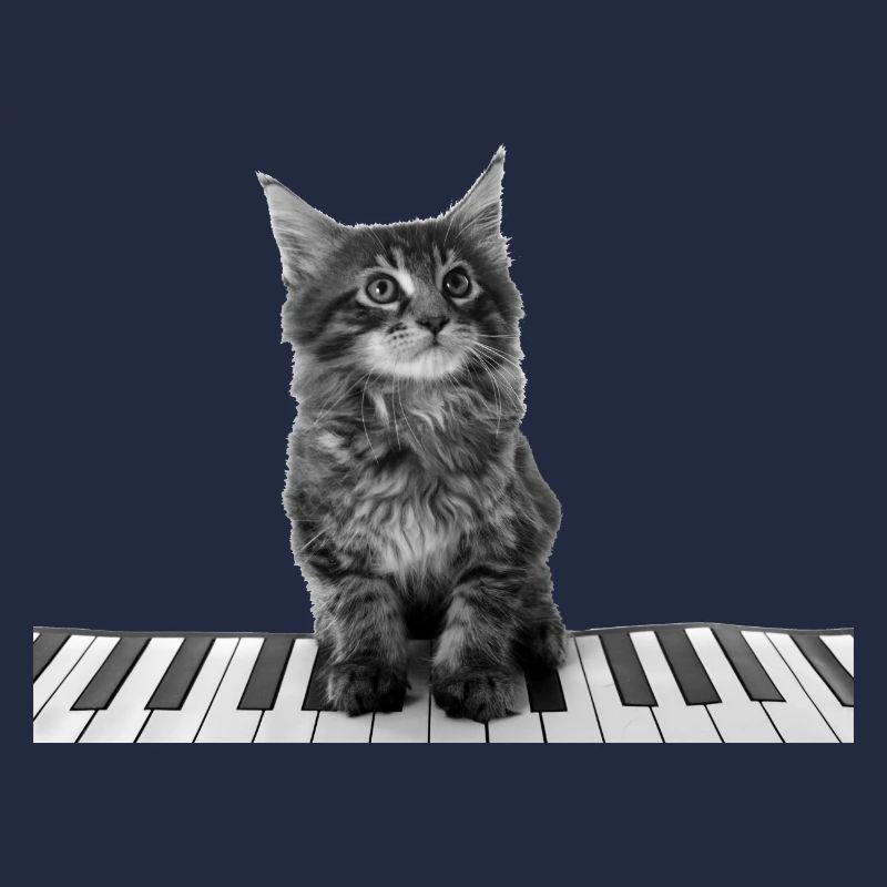Mignon piano chat clavier pianiste