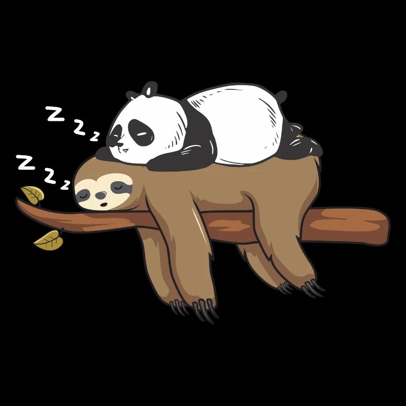 Panda Faultier Geburtstag Weihnachten Freunde Idee