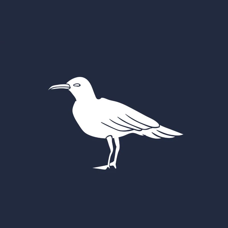Möwe