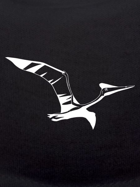 Pterosaurus pterodactyl dinosaur Cretaceous