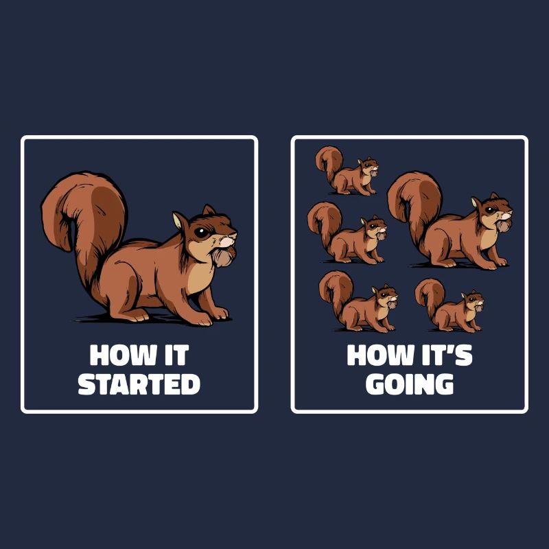 Squirrel Funny How It Started How It's Going Fores