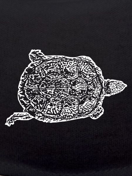 Turtle Turtles