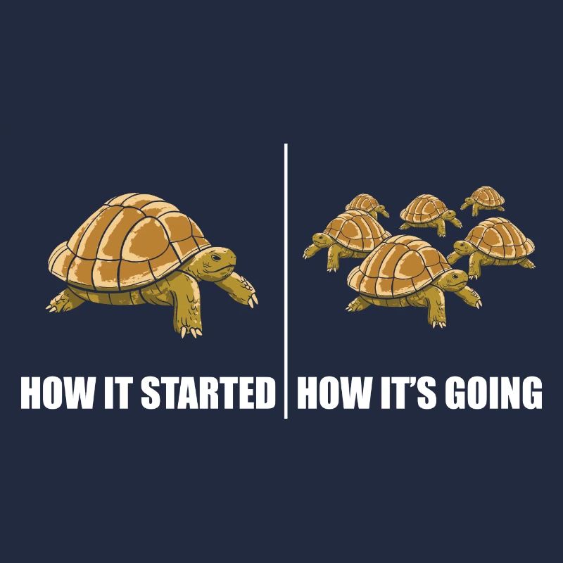 Funny How It Started How It's Going Turtle Reptile
