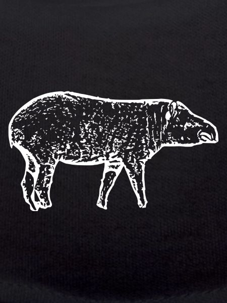 Tapirs